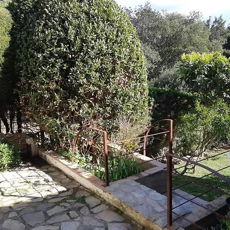 Estudio Vistas Al Mar Y Bosques De Begur *