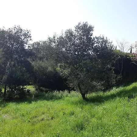 Estudio Vistas Al Mar Y Bosques De Begur 別荘 タマリウ