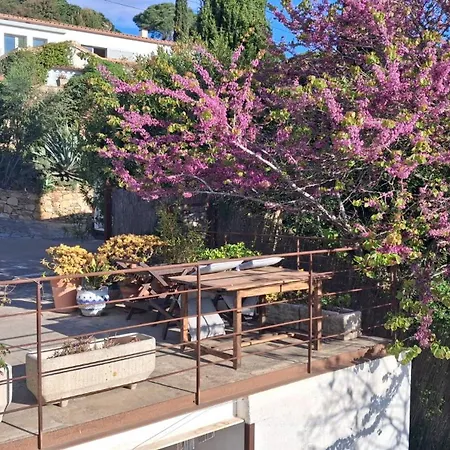 Estudio Con Terraza Privada Y Cocina Vistas Al Mar Y Begur *